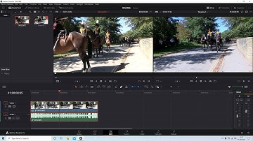 Davinci Resolve: How To Make Reverse Motion Videos A Video Editing Tutorial.