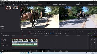 Davinci Resolve: How To Make Reverse Motion Videos A Video Editing Tutorial.