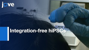 Integration-free hiPSCs Generation Using Hair-derived Keratinocytes | Protocol Preview