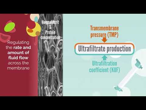 Vídeo: Que tipo de membrana o tubo de diálise representa?