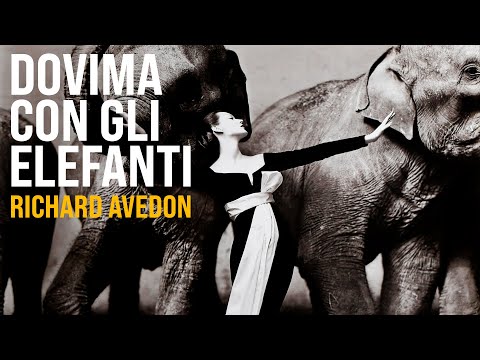 Video: Zanna di elefante: descrizione e foto. Fatti interessanti