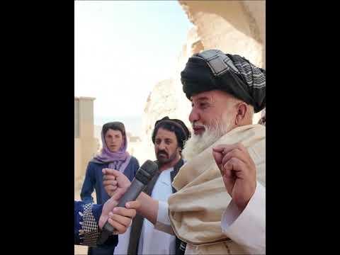 درختی که آتش آن را سوختانده نمی تواند و بیش از ۲۰۰ سال قدامت دارد