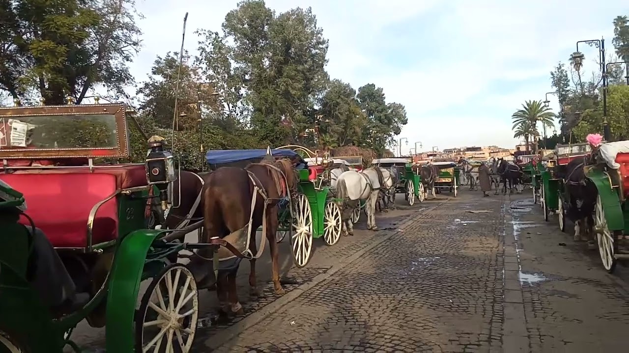 Marrakech Morroco l Jemaa El-fna Vlog 2025 #marrakech #travel