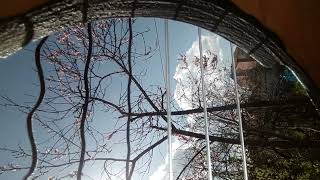 Gitar telleri nin muhteşem titresimi