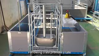 Details High quality factory customizable hot dip galvanized pig farrowing beds--Hengyin Update