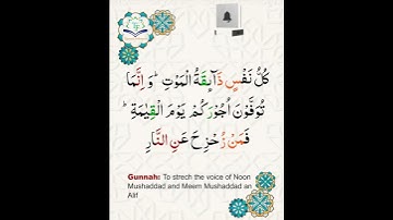 Learn Tajweed of Surah Al-Imran 185 (آيات الحفظ) سورة العمران - تعلم التجويد - Rules + Practice