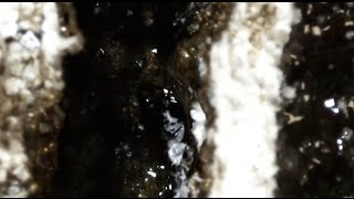 Video voorbeeld van "HVOB - Ghost [Official]"