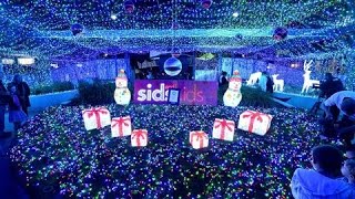 Australian Sets World Record for Christmas Lights