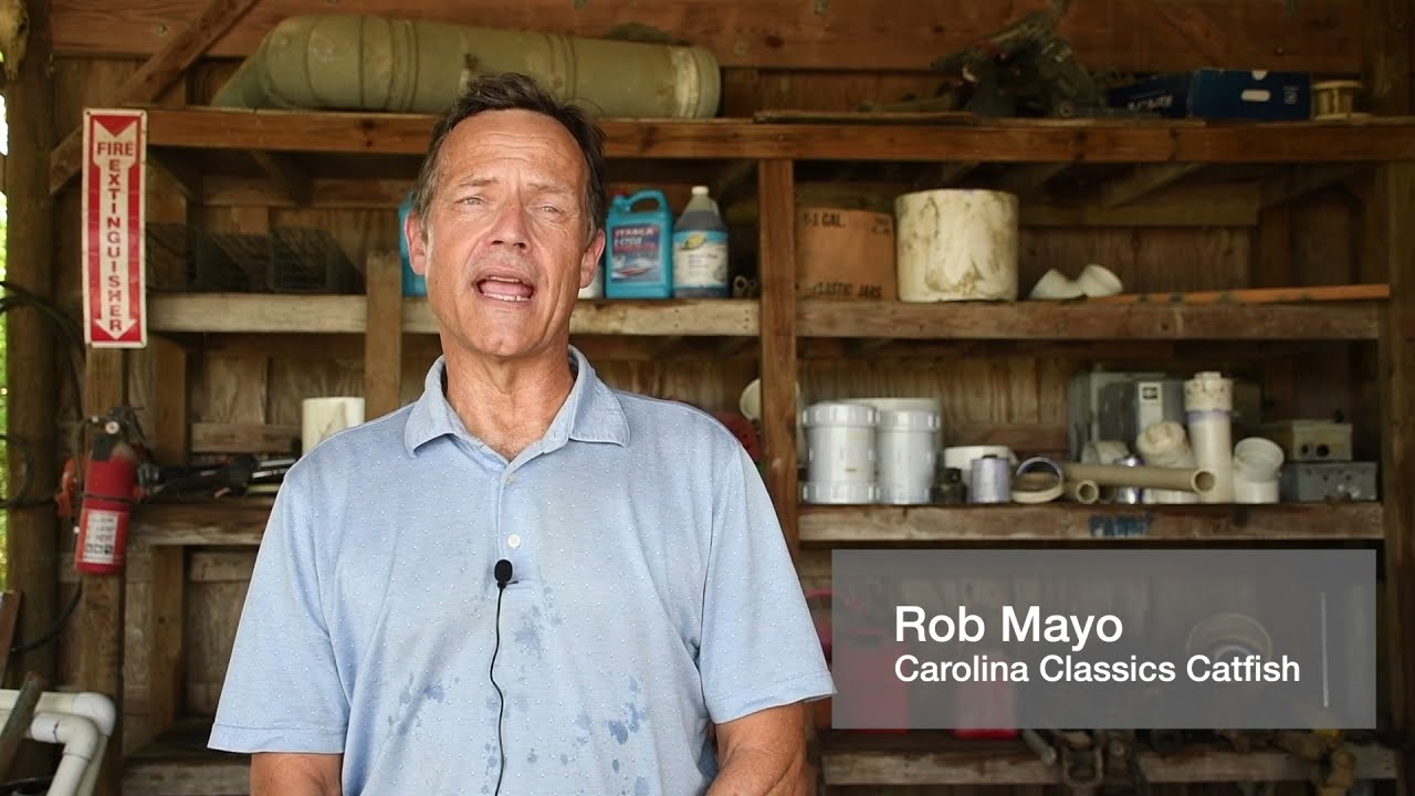 Carolina Catfish Classics YouTube