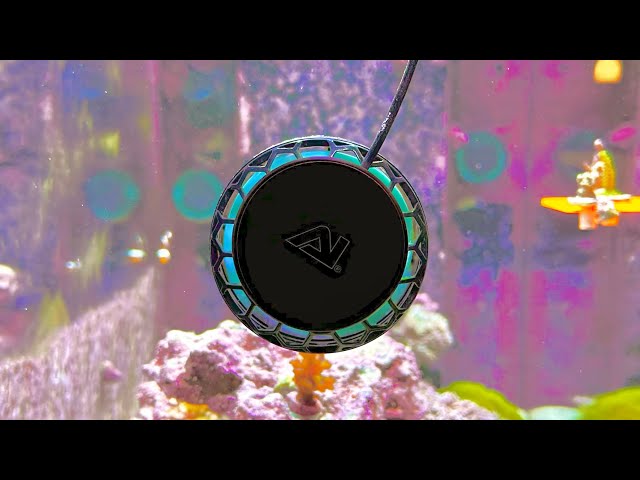 Product Update: AI Nero 7 - Long Term Performance - YouTube