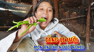 CÔ GÁI ở trong rừng, ăn LÁ CÂY, món ăn đắng LÈ LƯỠI, ai nhìn thấy cũng chảy NƯỚC MIẾNG - tập 997