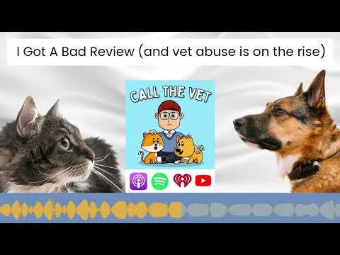 I Got A Bad Review (and vet abuse is on the rise)