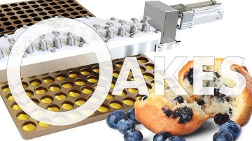 LAMINAR FLOW MANIFOLD | CAKE DEPOSITING WITH PARTICULATES