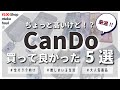 厳選！ちょっと高いけどオタクが買って良かったキャンドゥ推し活グッズ5選❁　#推し活 #オタ活 #キャンドゥ #cando #otaku #anime #japan
