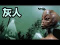 全球上萬份目擊報告揭秘,維度灰人形象為何驚人一致? #外星人,灰人,目击报告,维度,超自然