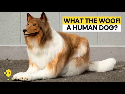 A Japanese man spends 2 Million Yen to become a dog | WION Originals