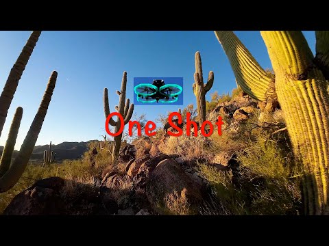 One Shot FPV through Sahuaros @ Sunset