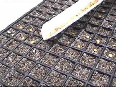 vibrating hand seeder, saves time and money
