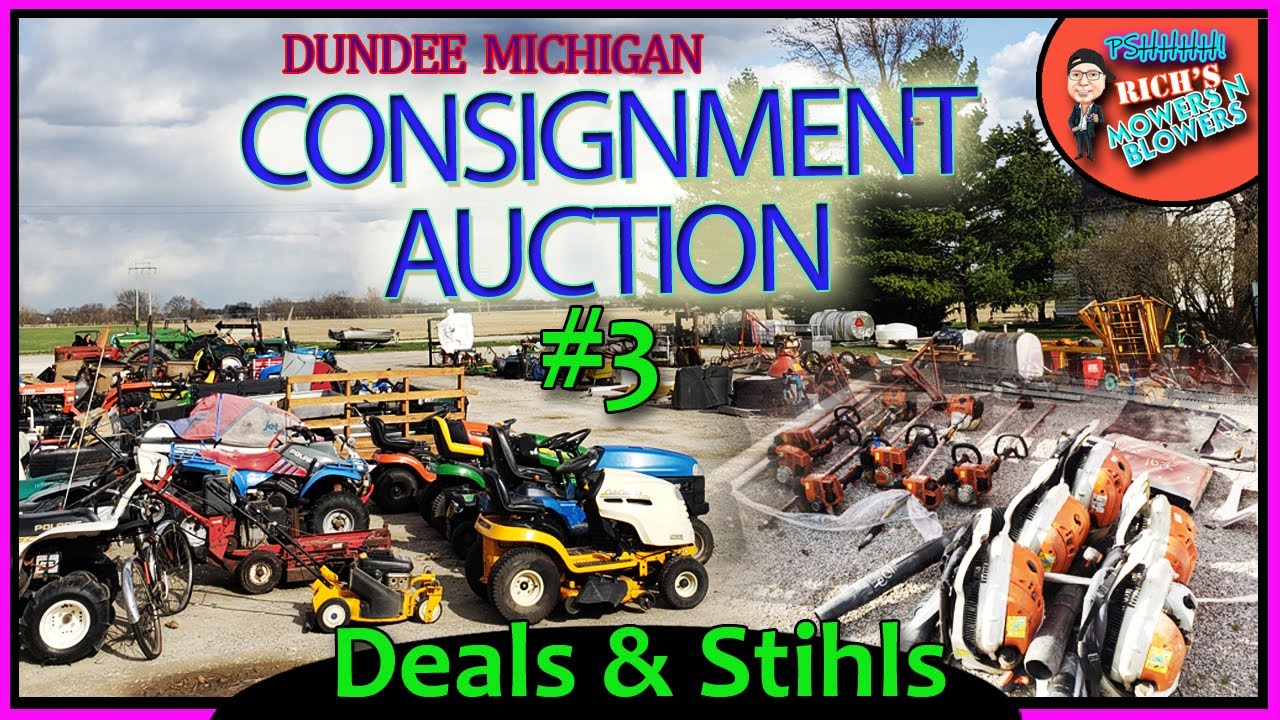 Dundee Auction Consignment Stihl Equipment Auction Rich's Mowers n