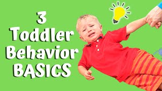 OUT OF CONTROL TODDLER BASICS! 3 BASIC STEPS