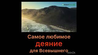 Самое любимое деяние Всевышнего (ценность намаза)