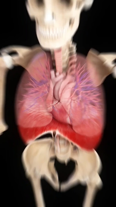 Indoor Air Pollution: How Your Closed Room Can Lead to Asthma, Cancer & Other Illnesses || #short