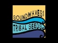Tribal seeds  in your eyes