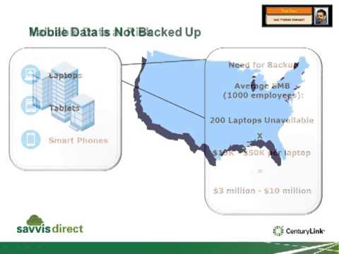 savvisdirect - Data Backup