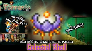 "Celestial Shell" Equipment สุดเทพก่อนที่จะสู้กับบอสท้ายเกม [ Terraria 1.4.4.9 ]