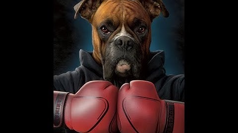 WEIHRAUCH HW100 super acurate gun fast target practice