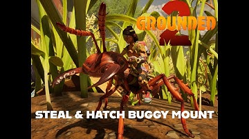 How to Steal and Hatch your Own BUGGY Red Soldier Ant Mount! [Grounded 2 Tutorial]