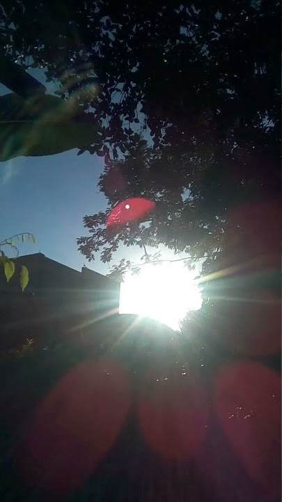pemandangan langit pagi#shorts  #jagadkita  #pemandangan  #langit  #pagi