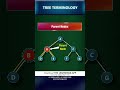 Tree Terminology (Explained in 60 Seconds) | LearnEngg #shorts