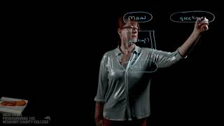 Chapter 5.3: Designing a Programming Function - PRG105