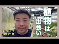 1時間に6回霧が出る環境でビカクシダ板付