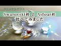 【サンキャッチャー】Swarovski社製クリスタルガラスとAsfour社製クリスタルガラスを比較してみた