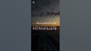 #تلاوة_خاشعة #القرآن_الكريم #سورة_البقرة #راحة_نفسية