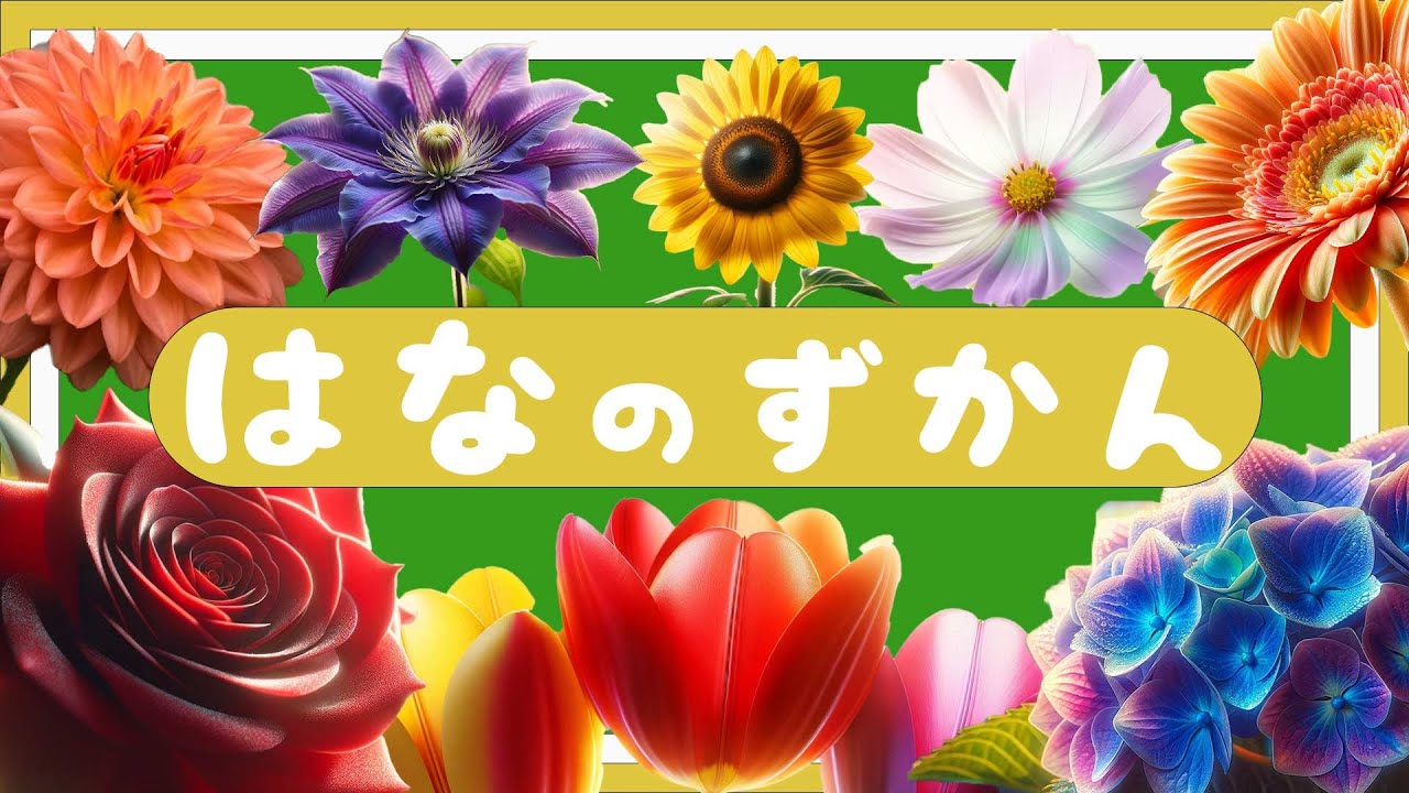 【花の名前】図鑑-０歳から３歳向け（３３種類）
