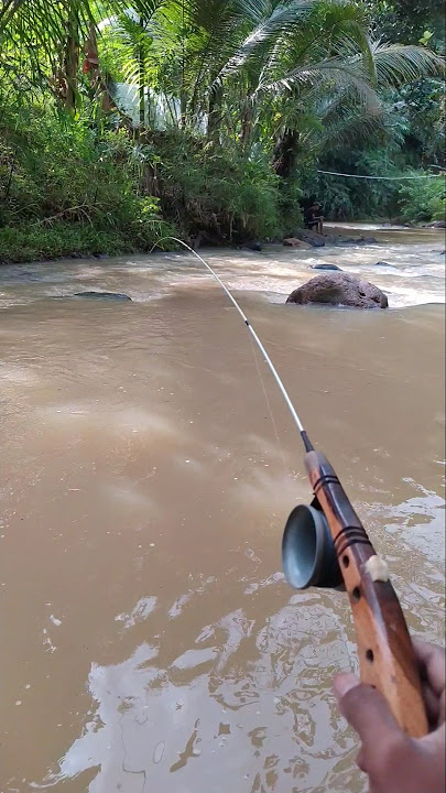 Gokiiiill ‼️Mancing di sungai sehabis banjir #shorts #shortvideo #mancing #fishing #mancingdisungai