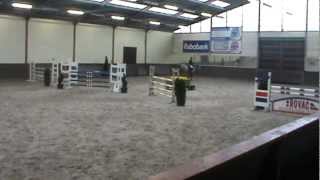 Beaunellie Clearway X Animo