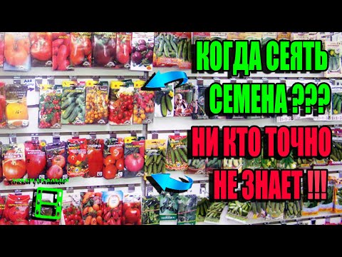 ЛУЧШЕЕ ВРЕМЯ ПОСАДКИ СЕМЯН. КОГДА СЕЯТЬ СЕМЕНА НА РАССАДУ? ЭКОСАД (ОГОРОД) И ТЕПЛИЦА 22-3