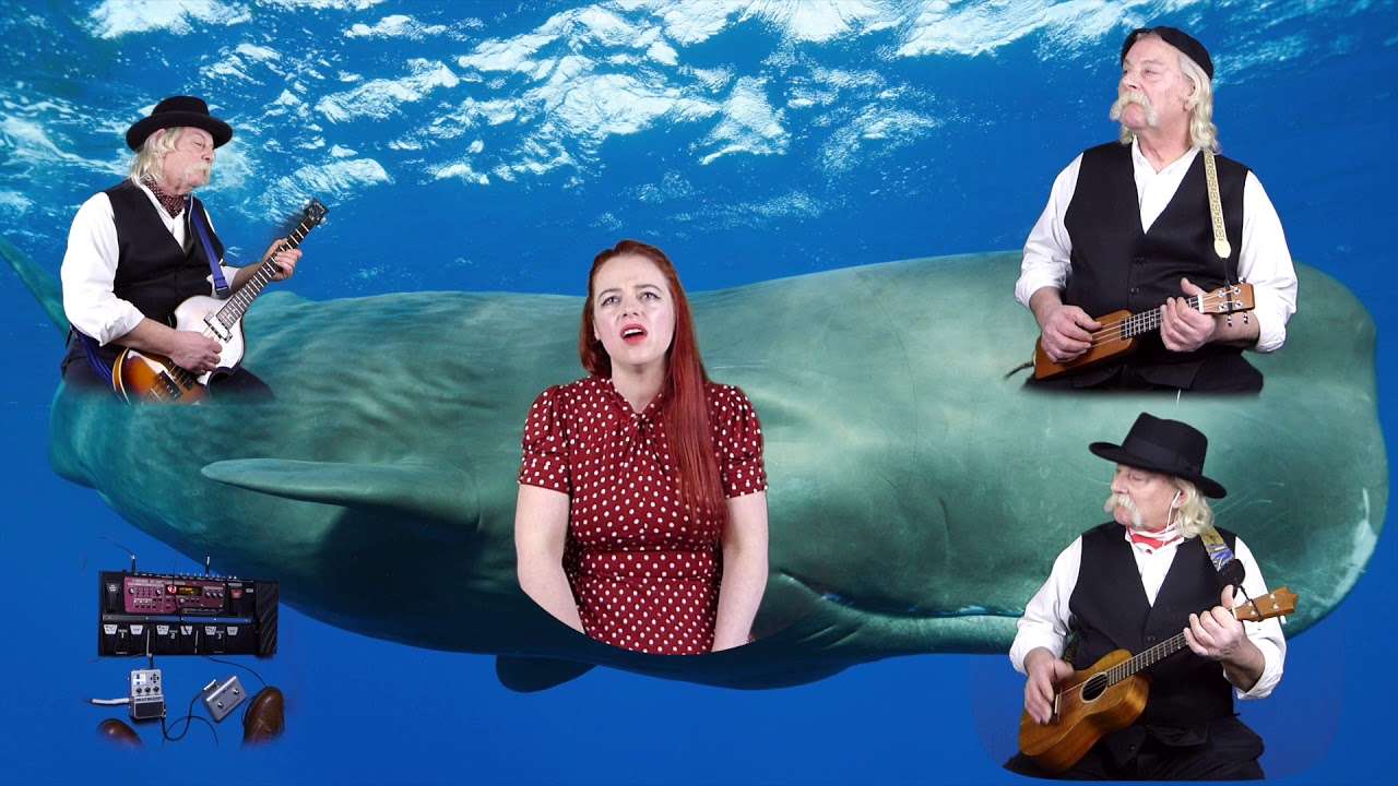 Long Time Gone CSN cover. Three part harmonies!