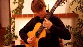 Video thumbnail of "Lukasz Kapuscinski - Harry Potter - Acoustic Guitar Medley (with TABs)"