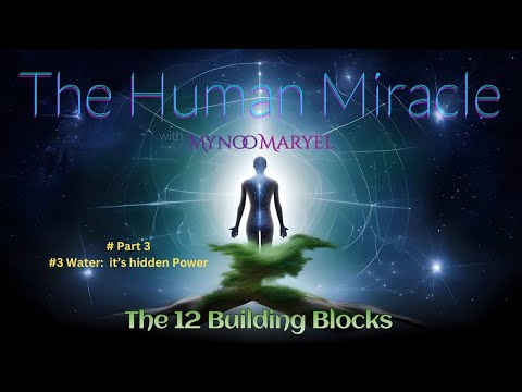 12 Building Blocks of our human body: #3 Water:  it’s hidden Power