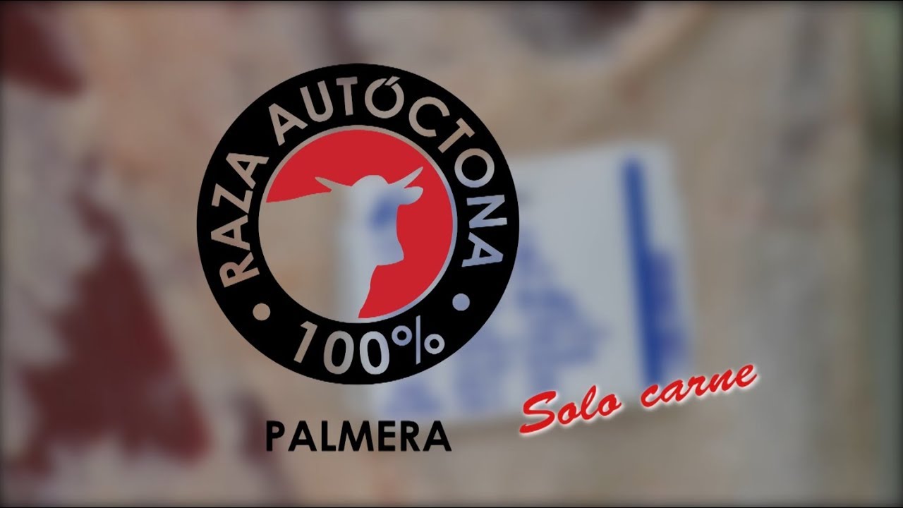 Vaca Palmera Raza Autóctona 100%