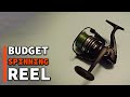 Best Budget Spinning Reels 2024: Top 10 Picks for Affordable Quality