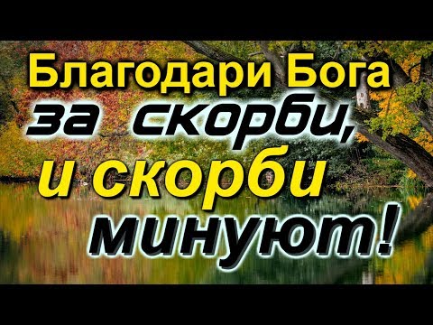 Ничего не бойся! Благодари Бога за все!