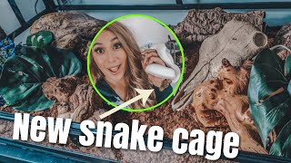 Setting Up my Ball Pythons Huge Cage!