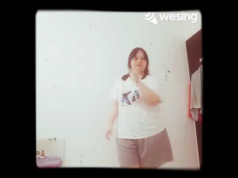 春花齐放 迎春花 欢乐女孩 陈美丽 我的伴舞 舞动心飞 侯伟 2025 新年单曲 Wesing 公司