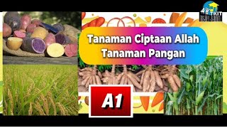 Learning Video A1 Theme: Plants Created by God, Sub Theme: Food Crops